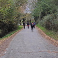 Barazar-Parketxea (2)